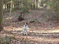 DSC00527