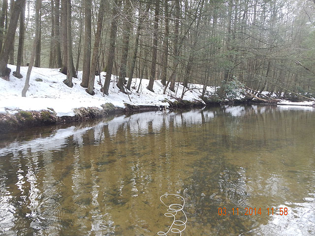 DSCN0407.jpg -                                Water temp was 44.5 degrees and there was still a good bit of snow on the banks.  Most edge ice was gone.