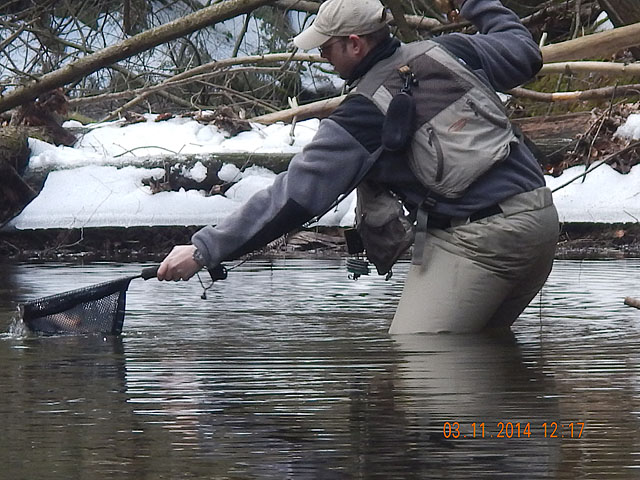 DSCN0411.jpg -                                Gary missed one on the surface then caught this one under.