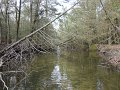 DSC00582