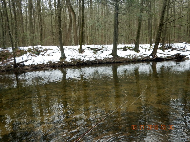 DSCN3004.jpg