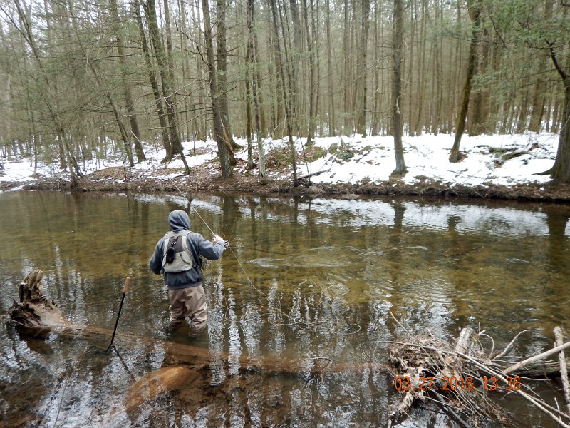 DSCN3008.jpg - But, as fate would have it, we both caught a few in the short 3 hours we fished.