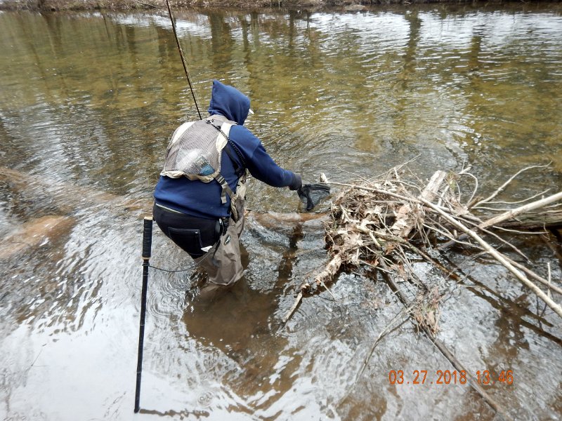 DSCN3012.jpg - Fish tried to get into that pile of branches in a vain attempt to get away.  That little fish trick did work for another fish or two though.