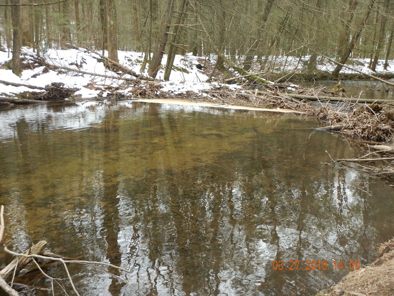 DSCN3019.jpg - Couple of these natural dams have been removed.  Maybe by the Commission or maybe the weather and that is good.  This one still remains.