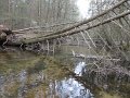 DSC00595