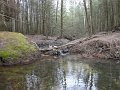DSC00596