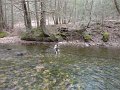 DSC00597