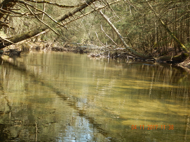DSCN1885.jpg -                      Just up from the big hole...on the left, yes, I believe it might be a rise.  We saw a few today but not as many as we might have expected in the 80 degree temps.          