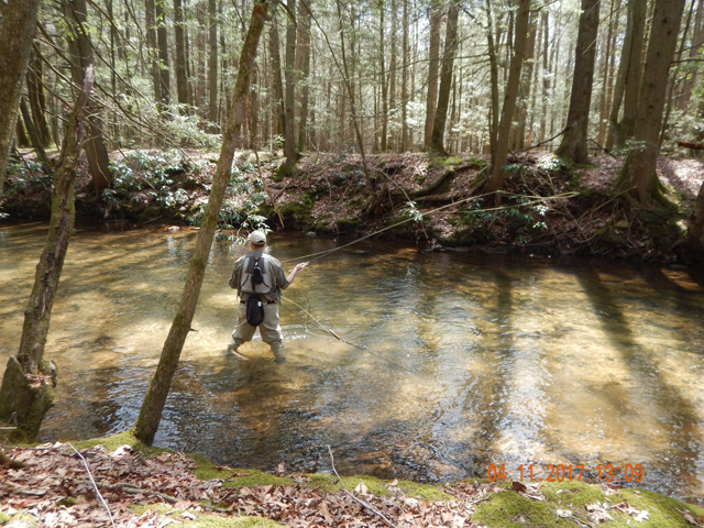 DSCN1888.jpg - Section of the stream we like to fish and usually we are successful....except today.  Nothing hitting here.                               