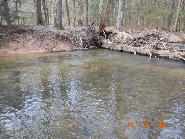 DSCN1894.jpg - Here is the run where we were most successful.  It's fast, deep and close to cover.  Custom made for trout.                               