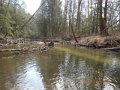 DSCN1895