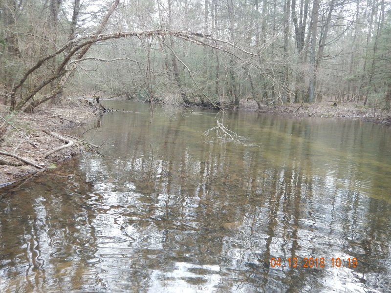 DSCN3034.jpg - Stream looks placid but there is a pretty nice current flowing.