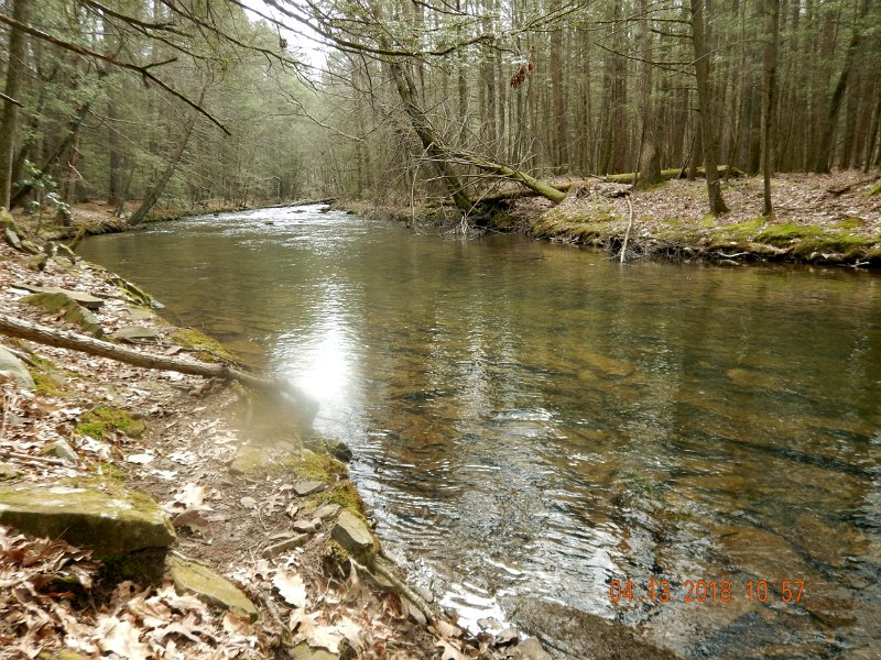 DSCN3036.jpg - Another shot of the stream.  I like to call this the slate hole. 