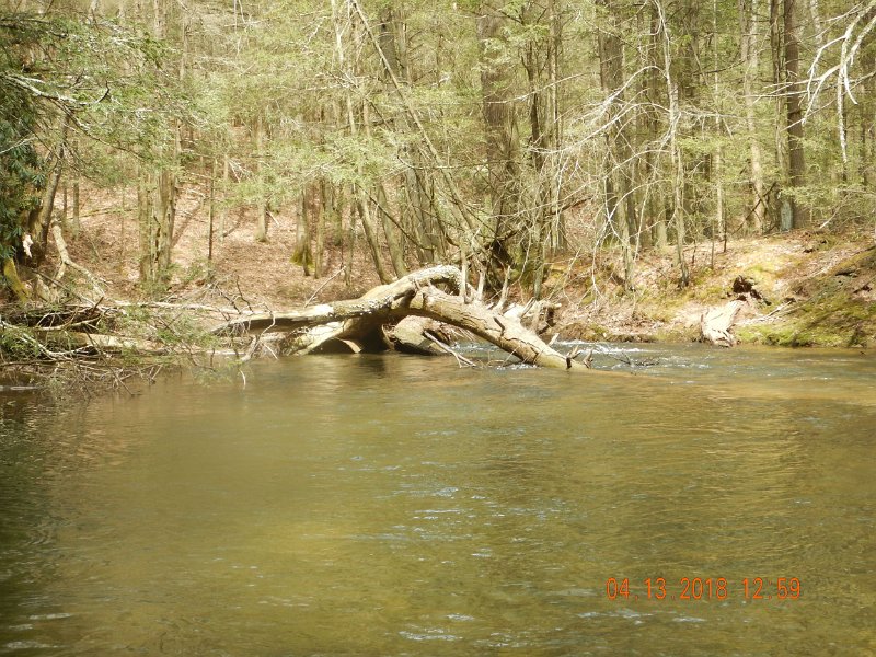DSCN3042.jpg - The water was about 47 degrees.  Still a bit cool for the trout to become really active.  Saw only about three rising fish all day.