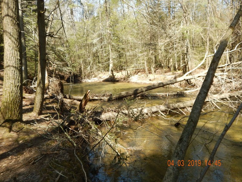 $Clarks2019a008$.jpg - When the bugs start in volume this water should light up making dry fly fishing a joy.