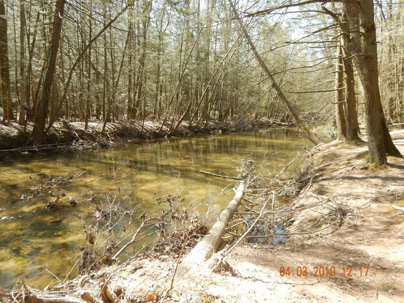 $Clarks2019a011$.jpg - Clarks looks nice. Considering it was stocked on March 9th, we didn't see as many fish as we would have expected.  Even doubted that it was stocked....at first.