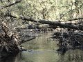 DSC00614