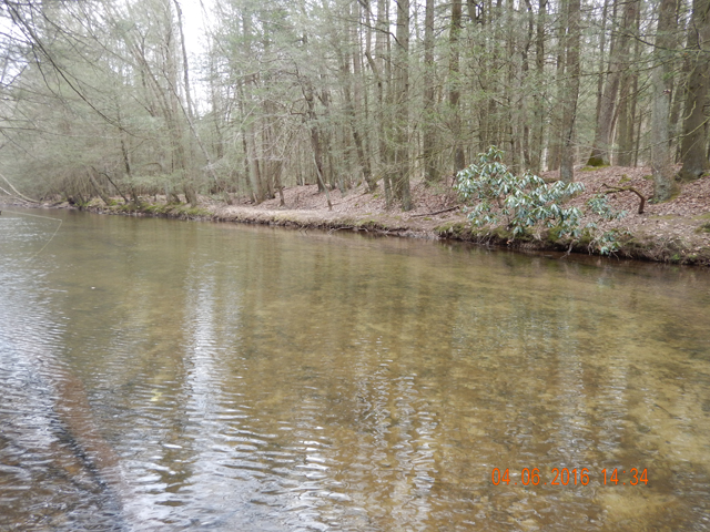 DSCN1019.jpg -                           Only saw one or two fish rising.     
