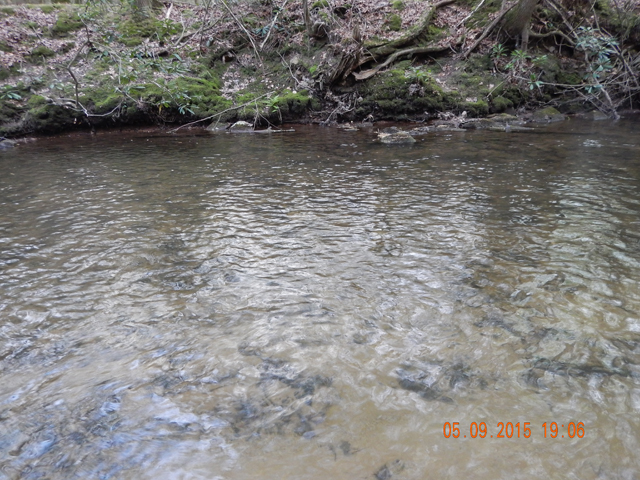 DSCN0304.jpg -                                