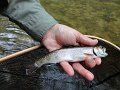 DSC00008001