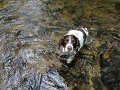 DSC00010001