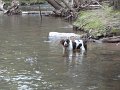 DSC00011001
