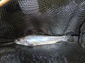 DSC00025001