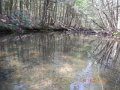 DSCN0311