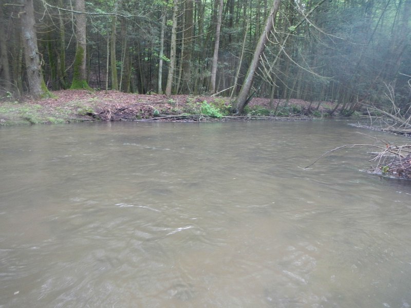 DSCN3136.jpg - Clarks was not its usual self.  Rain caused the stream to run at full levels.  