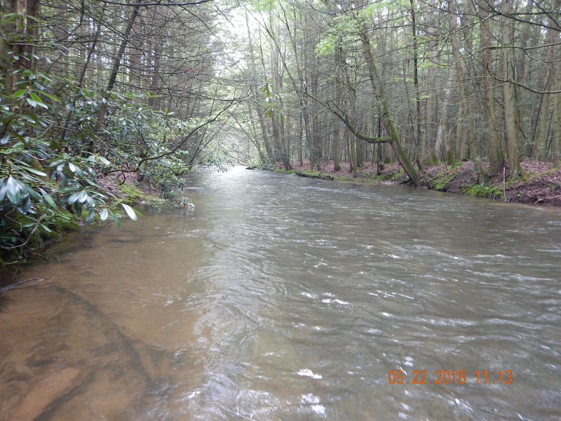 DSCN3212.jpg - This pic was taken earlier in the morning befor the heavy rains started.  Water was high but not as off color.