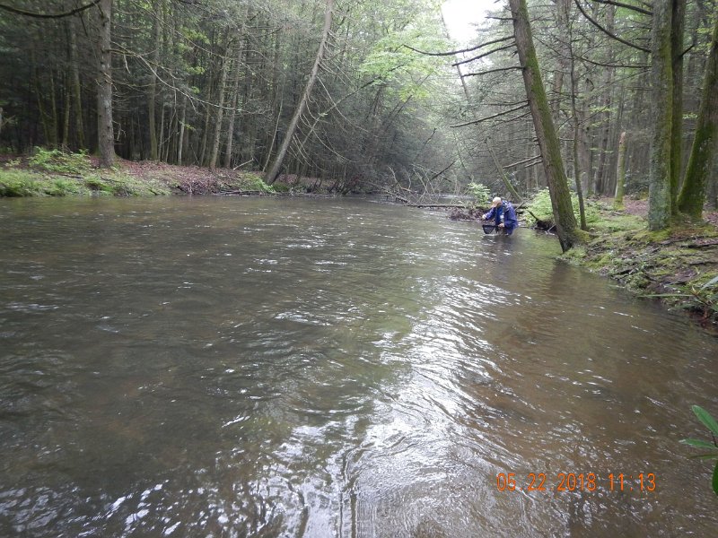 DSCN3213.jpg - Gary, landing one of his.