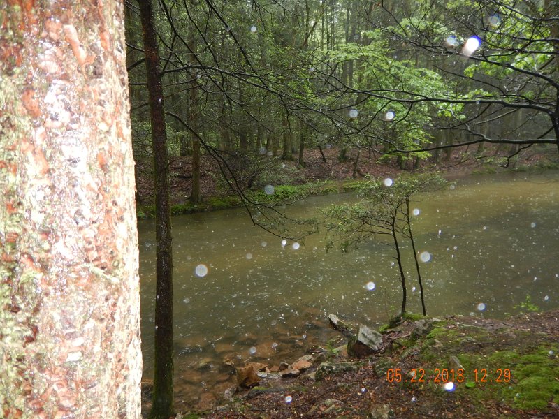 DSCN3217.jpg - Usually the bottom (and the fish that live here) are clearly visible.  Not so much today.