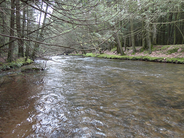 DSC00814.jpg -                                Water was about 4 inches above normal.  Fish were picky and not many surface oppportunities.