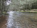 DSC00814