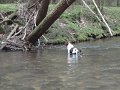 DSC00815