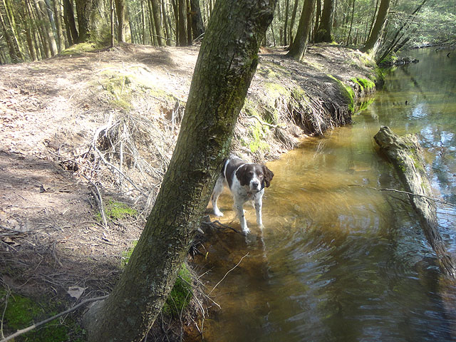 DSC01495.jpg -                                Remy was my companion for this trip.  He didn't seem to mind at all!