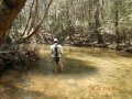 DSCN0273