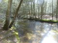 DSC01506