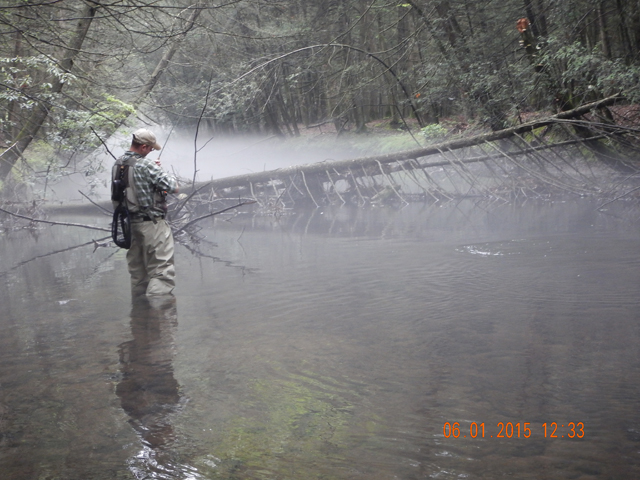 DSCN0401.jpg -                                Gary catching another.  The haze on the stream was really pretty.