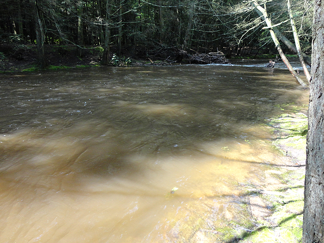DSC00136001.jpg - Mud water