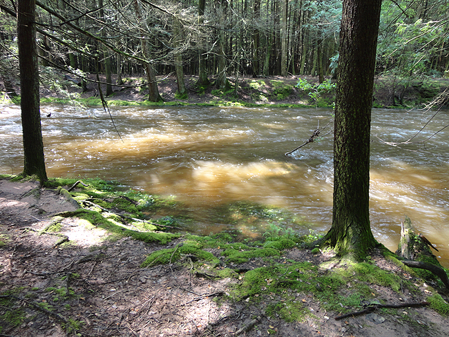 DSC00139001.jpg - No fly fishing today