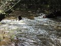 DSC00138001