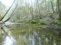 DSC01685