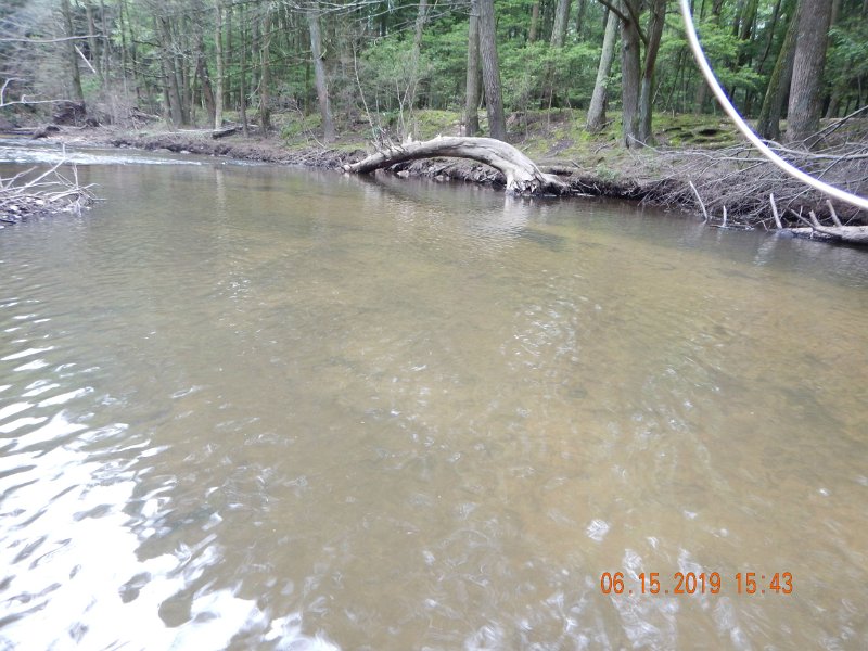 $Clarks3001$.jpg - This hole has changed...a bunch.  Logs and windfalls have altered the course of the water in the pool.