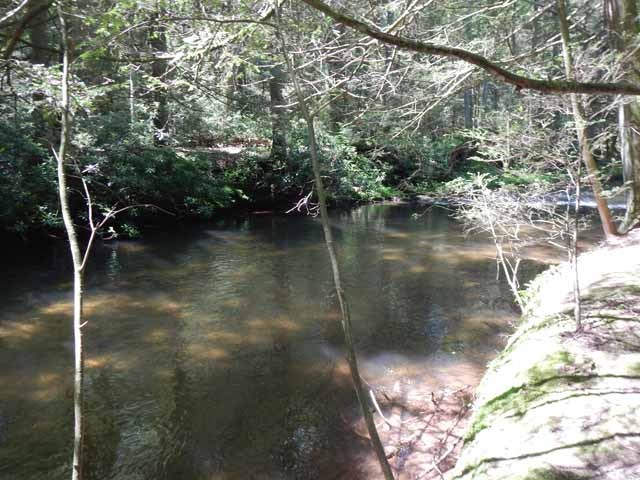 DSCN0124.jpg -                                Clarks is still one of the prettiest streams around.