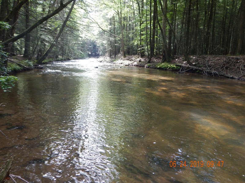 DSCN4373.JPG - Another shot of the stream...looks nice.