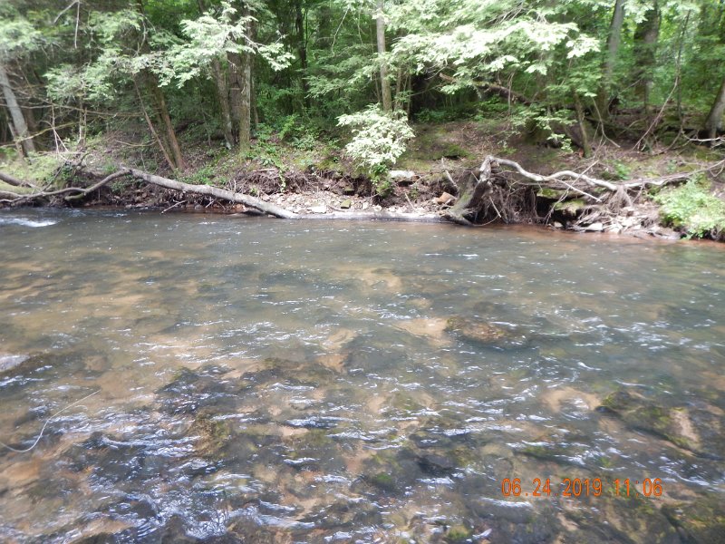 DSCN4375.JPG - That fish was hiding in front of the log on the other side of the stream.