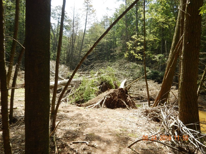 DSCN4377.JPG - Walked downstream and found this.  The stream is under this pile of windfalls.  Must be 20 or more trees in the same spot that collapsed into the stream.