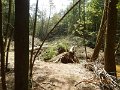 DSCN4377