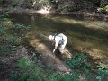 DSC01038